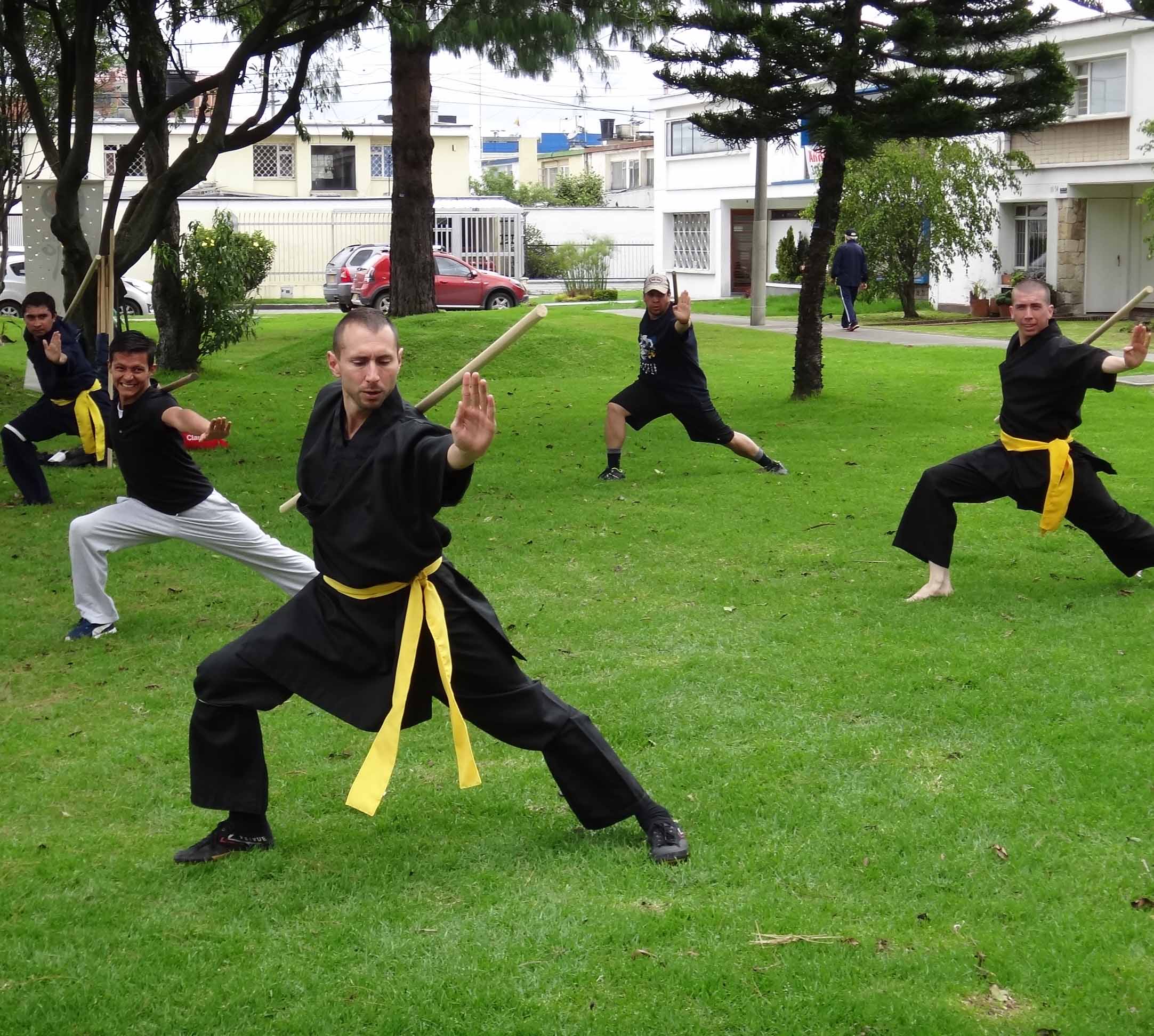 clases de kung fu en bogota